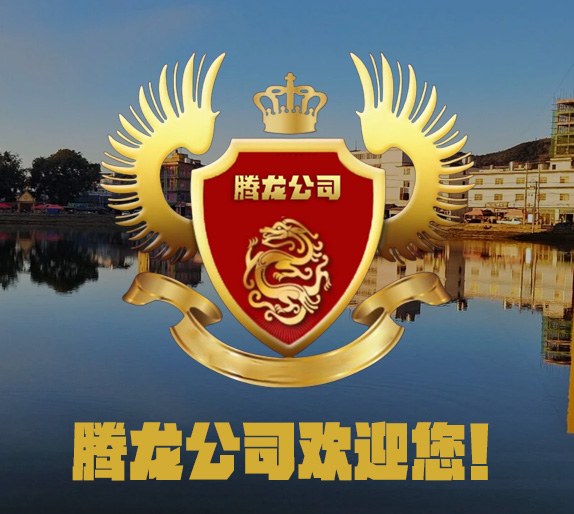 关于老街腾龙
